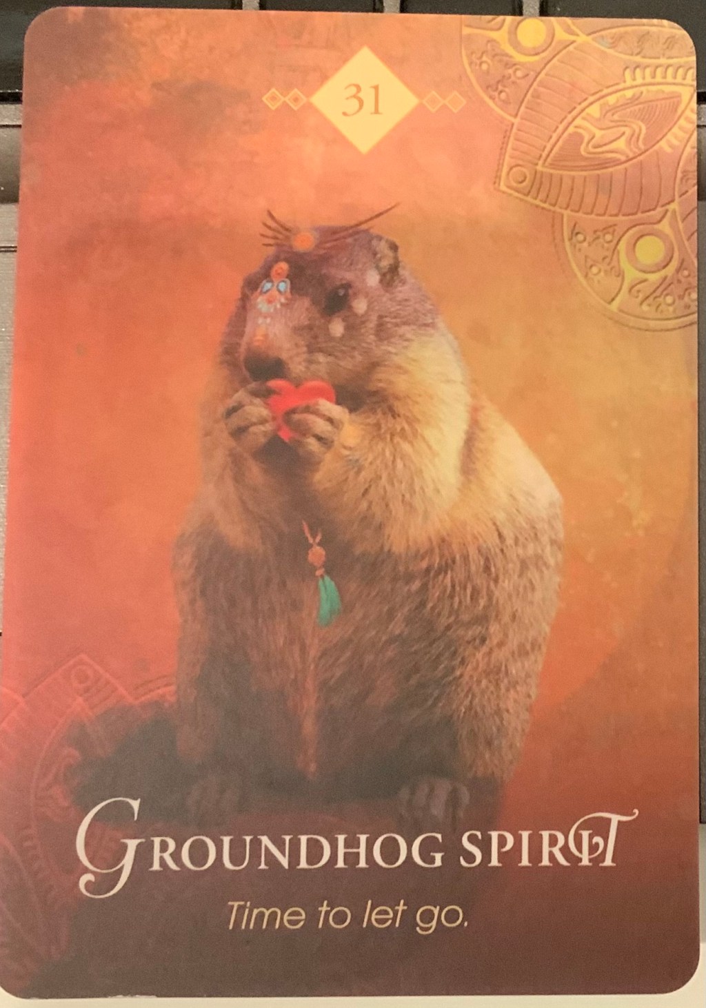 Oracle Cards or “Focus/Thought of the&nbsp;Day”